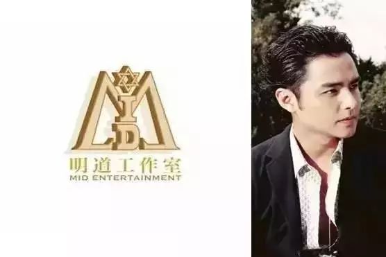 品牌人物ip形象案例,明星的个人品牌标志