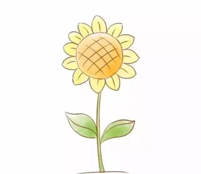 幼儿简笔画入门100个动物简笔画,3-6岁动物的简笔画和植物的简笔画