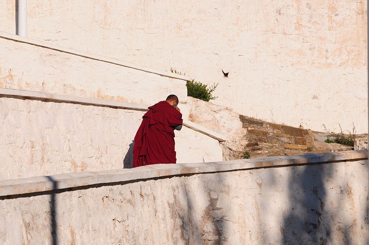 每年正月十五，内蒙古草原两千多座寺庙会同时跳这种神秘的祭祀舞