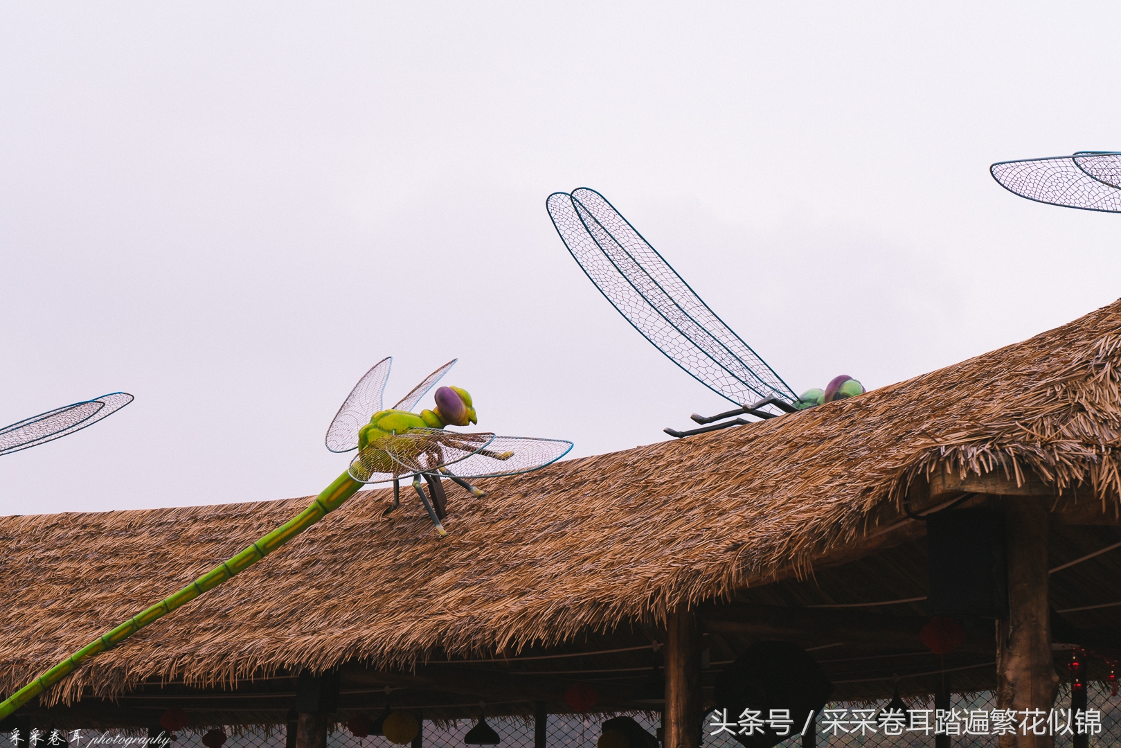 重庆2021欢乐谷狂欢夜,重庆欢乐谷新春巡游