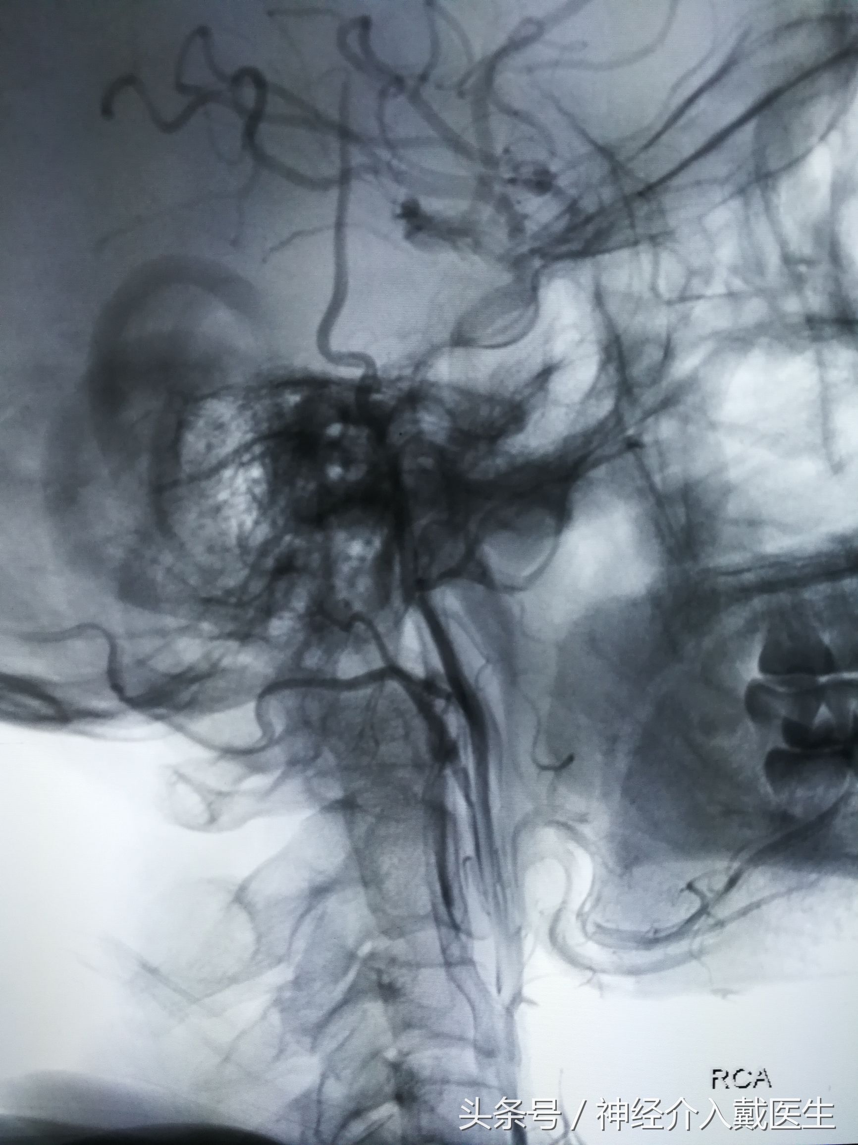 经常晕倒什么原因,经常晕倒是什么原因