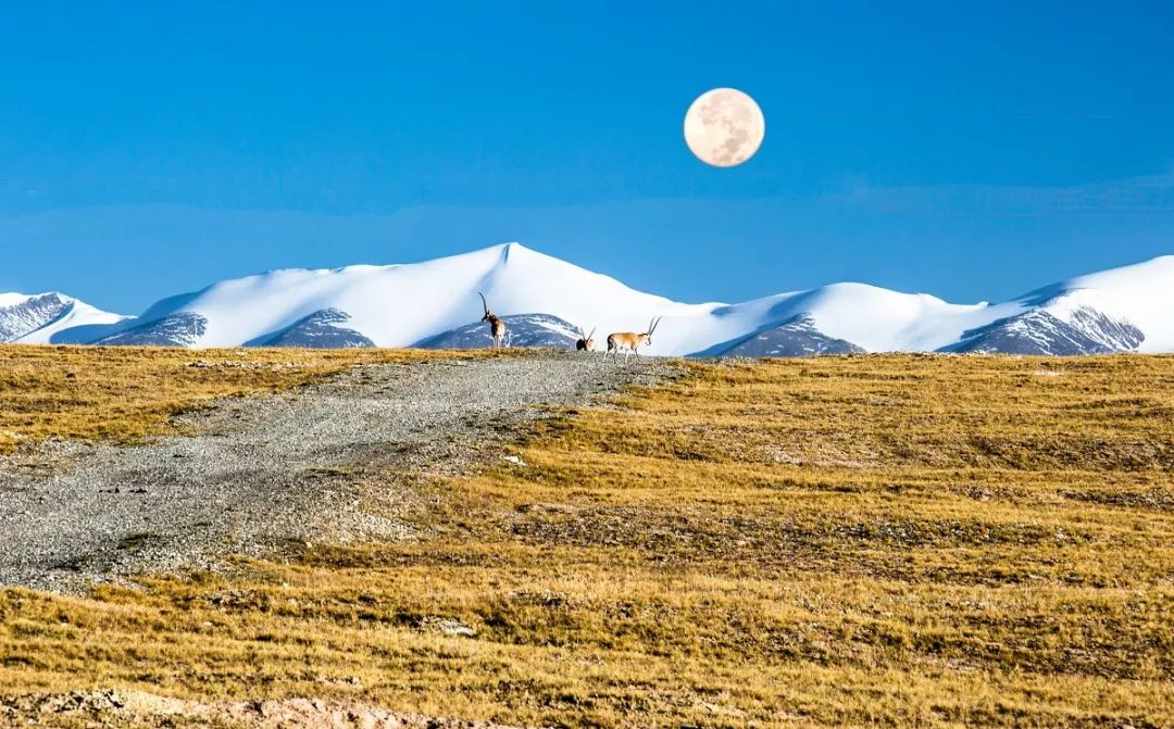 适合一个人去的9个小众旅行地,80个特色旅游活动