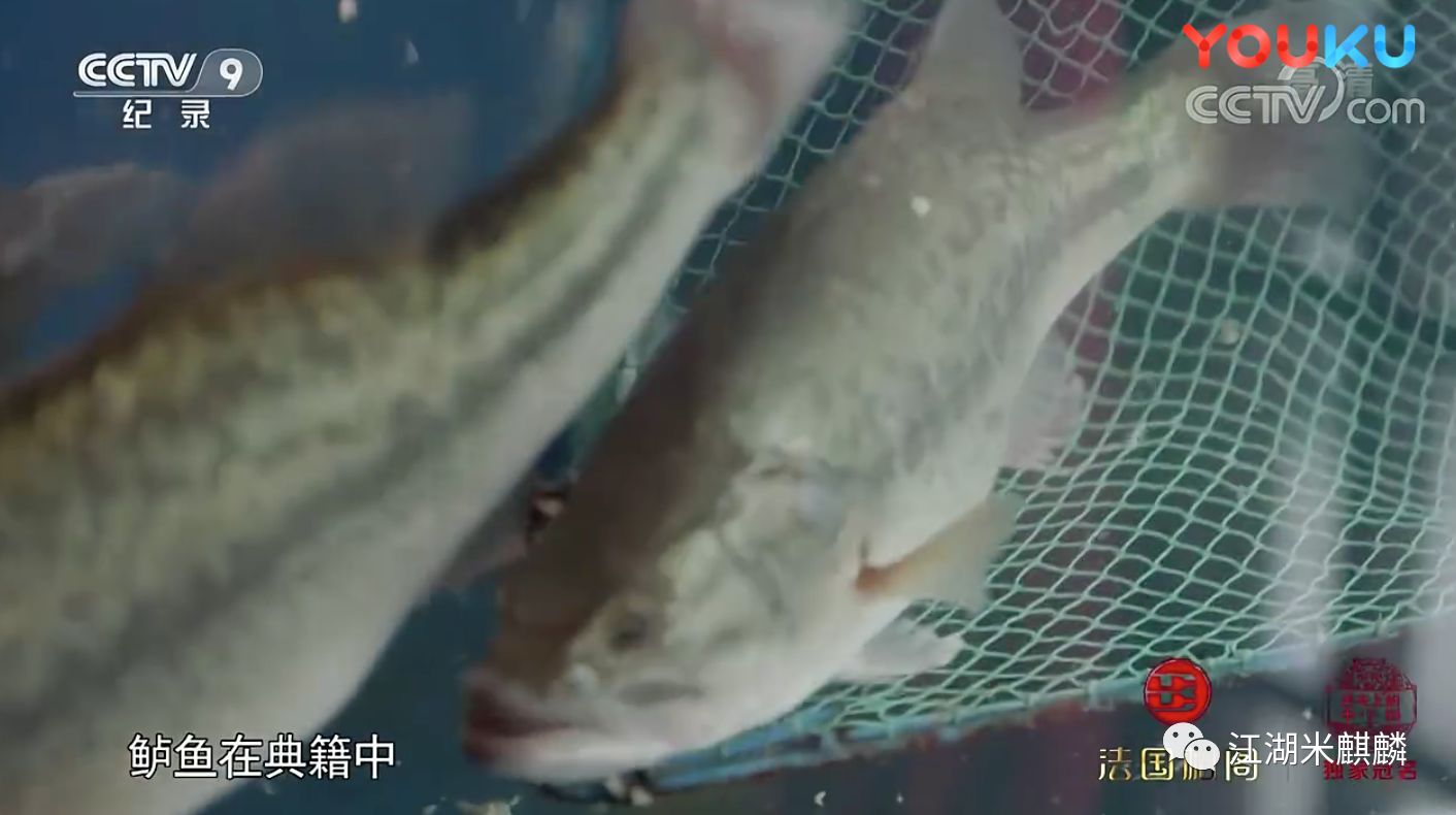 专业度负分、垮掉的文案、煽不起的情，《舌尖上的中国》3看的累