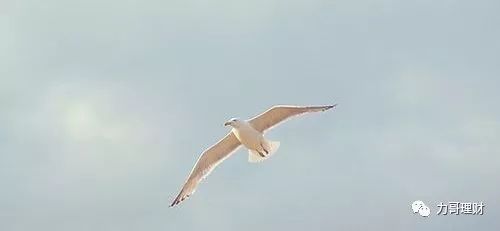 我们的心在哪里财宝就在哪里,你的财宝在哪心就在哪圣经