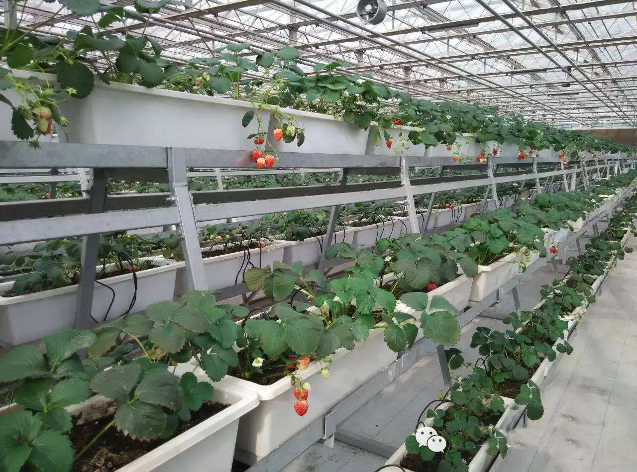 现代农业融合新模式,打造田园综合体共享农业新模式