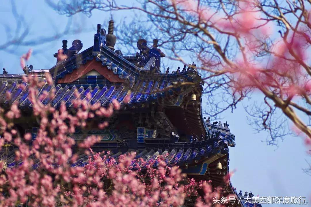 大连英歌石植物园赏花时间表,2022常州公园赏花时间表