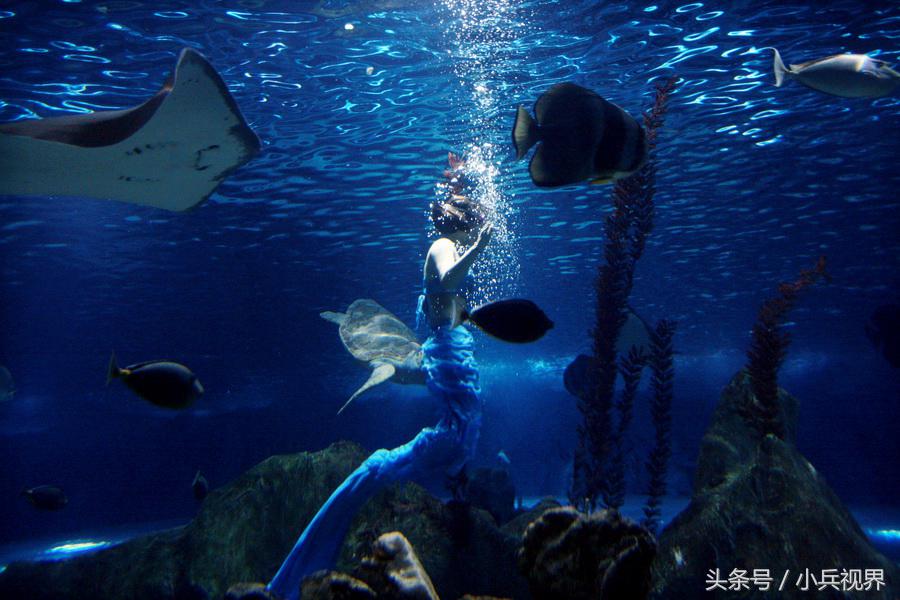 什么样的女人最美最迷人,哪些女人最美