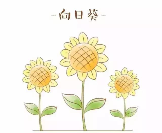 幼儿简笔画入门100个动物简笔画,3-6岁动物的简笔画和植物的简笔画