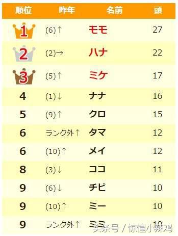 2019宠物猫名字,宠物猫有哪些好听的名字