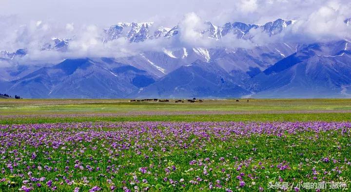 最值得去的52个旅行地,80个最值得一去的旅游胜地