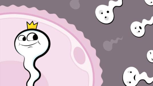 当备孕遇上卵泡发育不良，这些你都了解吗？