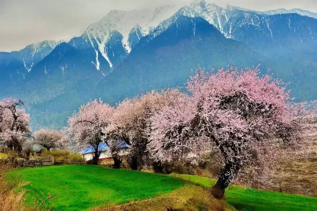 适合一个人去的9个小众旅行地,80个特色旅游活动