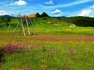 自驾游怎么穿越雪谷,自驾穿越雪地雾凇视频