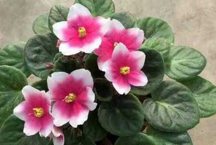 对付小人的最黑办法,如何对付小人背后说人