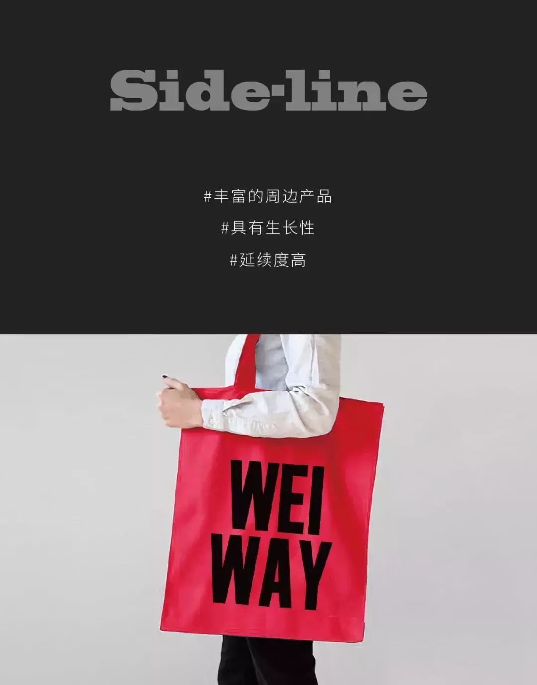 品牌人物ip形象案例,明星的个人品牌标志