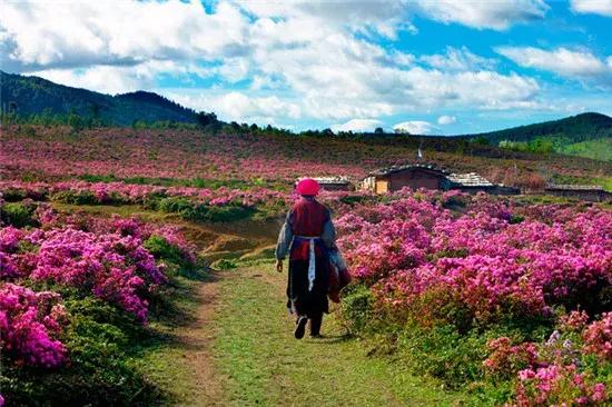 自驾游怎么穿越雪谷,自驾穿越雪地雾凇视频