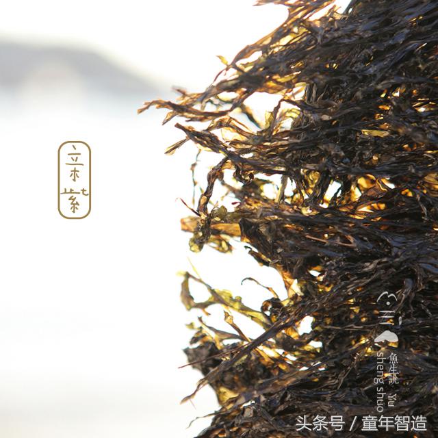 海洋被污染之后怎么补碘,海洋污染dha