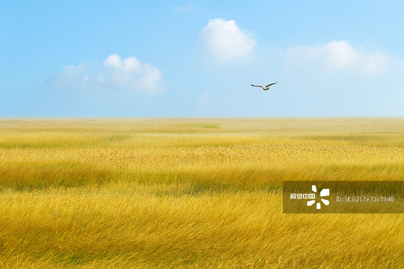 司考名师推荐,民法司考老师推荐