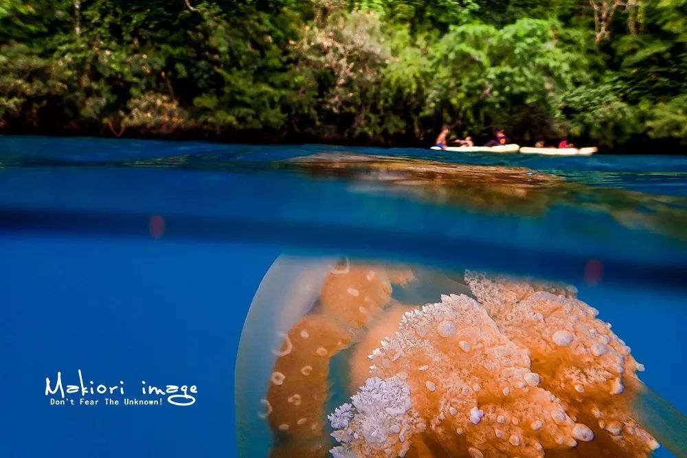 适合一个人去的9个小众旅行地,80个特色旅游活动