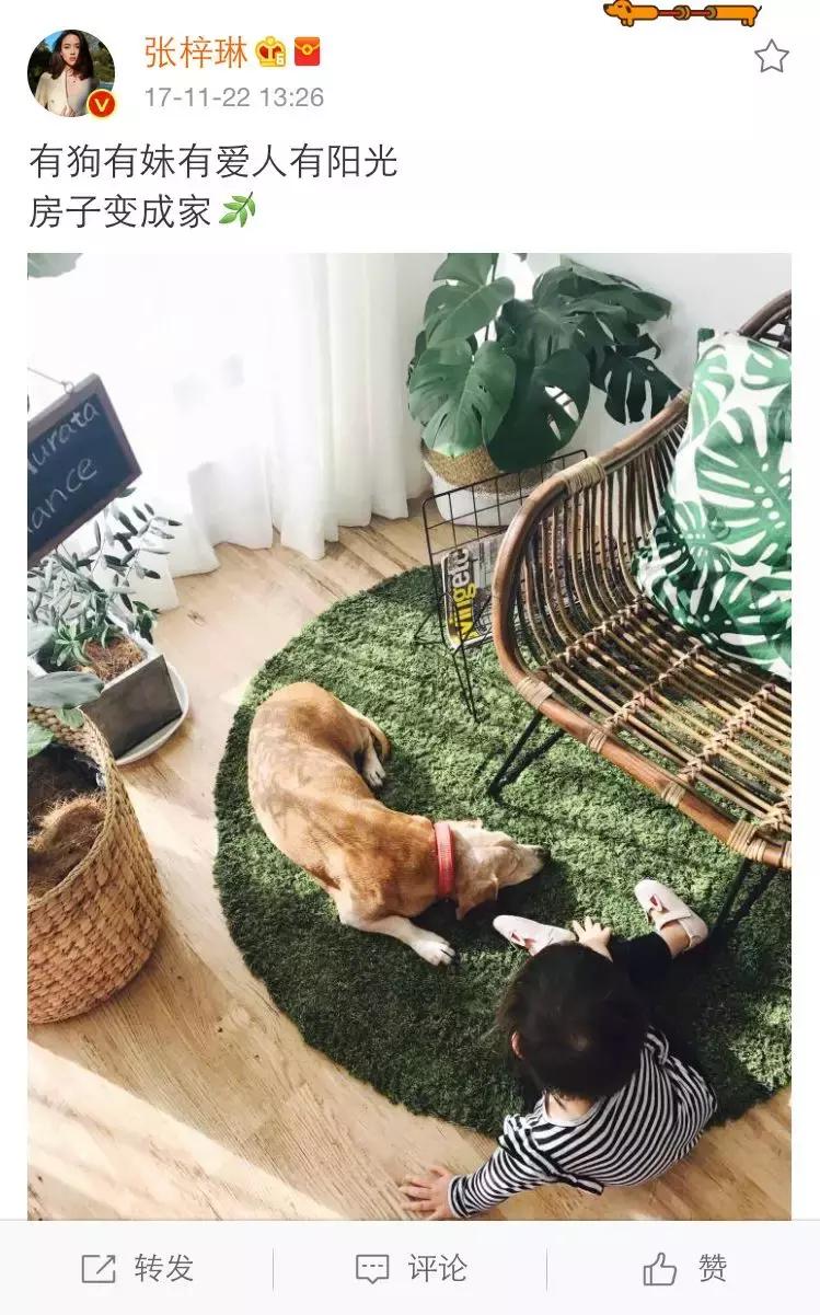 世界小姐张梓琳真实身高,世界小姐张梓琳资料