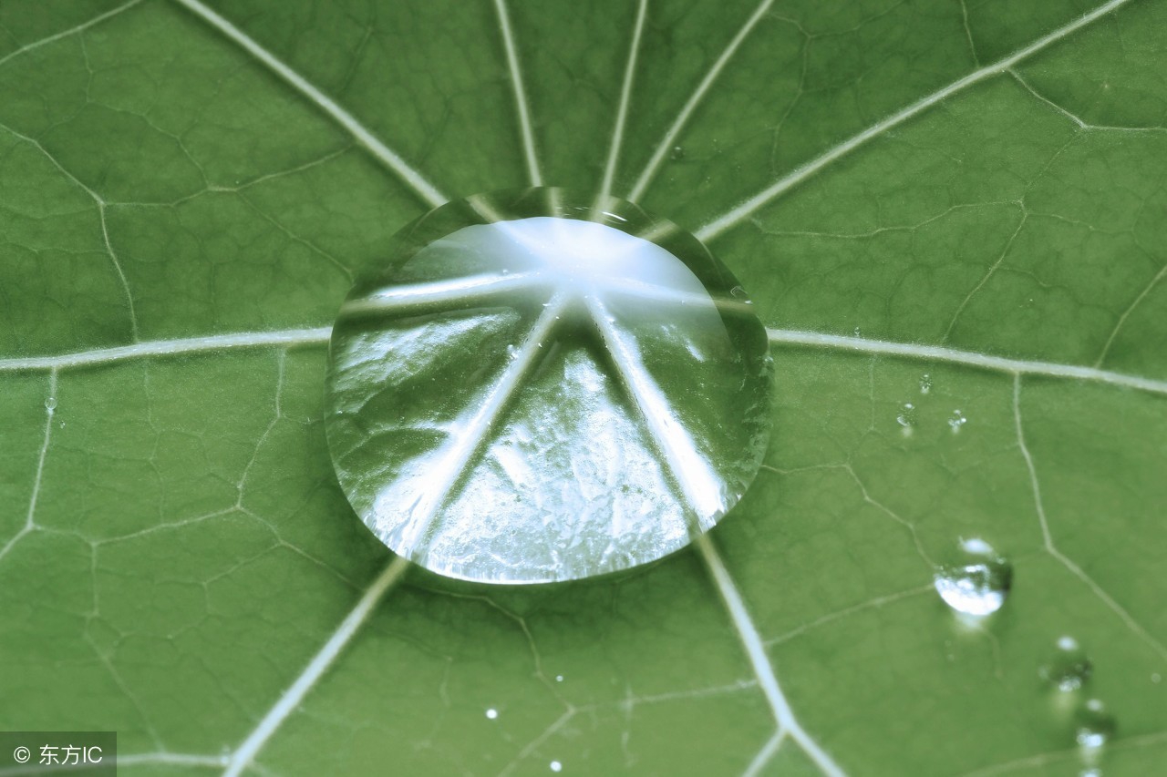 生活中遇到变态怎么应对,如何提防变态