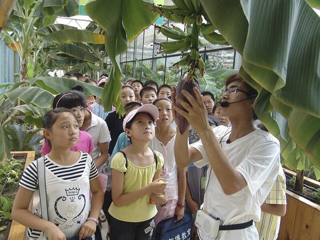 现代农业融合新模式,打造田园综合体共享农业新模式