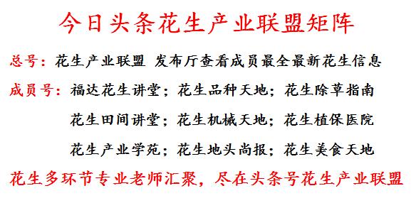 自走式花生摘果机最新款,福德花生翻秧机怎么样