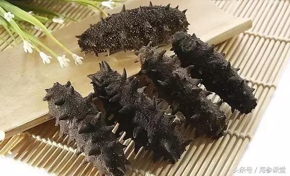 海参产地哪里最好吃,海参产地大揭秘哪里海参最好