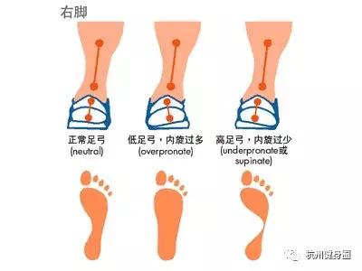 如何挑选一双适合自己的跑鞋,跑步脚掌疼适合选什么跑鞋