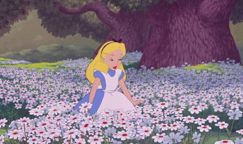 大连英歌石植物园赏花时间表,2022常州公园赏花时间表