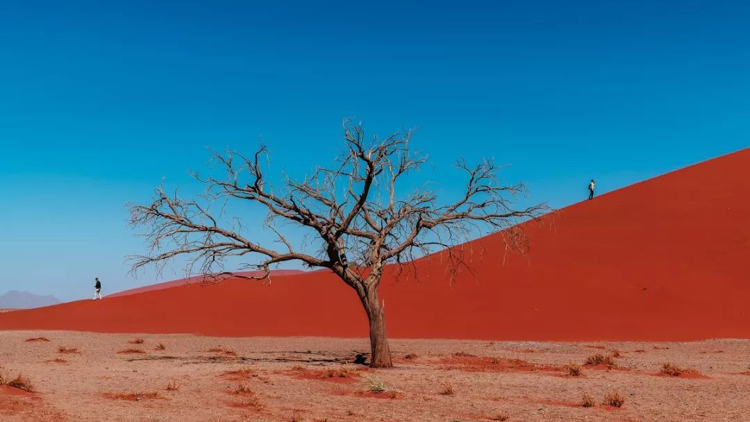 适合一个人去的9个小众旅行地,80个特色旅游活动