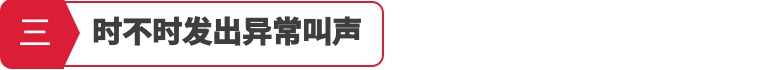 【干货】如何判断家中母猫是否急于脱单