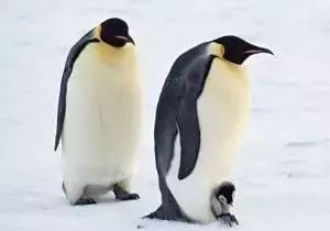 广东人写粤语字大全,史上最全粤语会说不会写