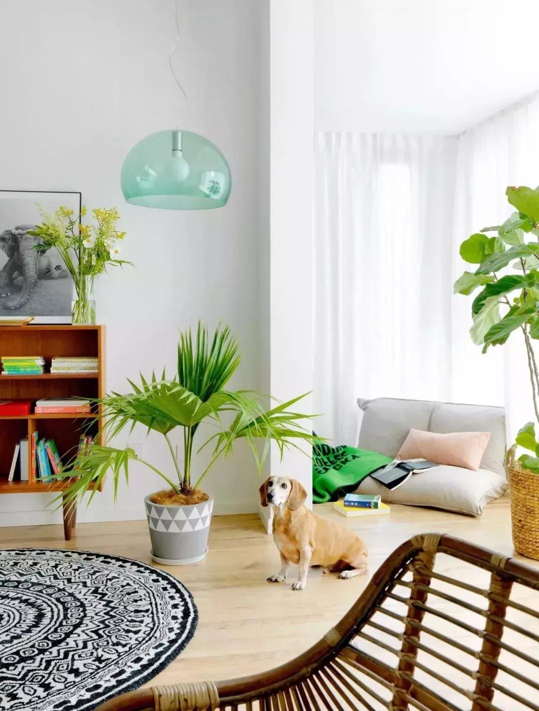 世界小姐张梓琳真实身高,世界小姐张梓琳资料