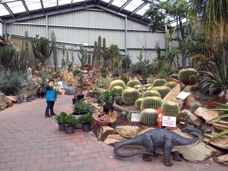 我的多肉之旅纪录片,墨尔本植物园多肉植物