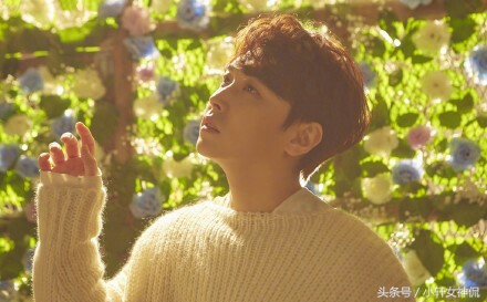 sj李晟敏退团事件,sj李晟敏综艺