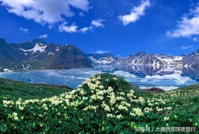 大连英歌石植物园赏花时间表,2022常州公园赏花时间表