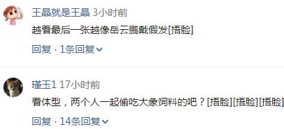 德云社小岳岳的老婆,德云社师兄弟评价岳云鹏老婆