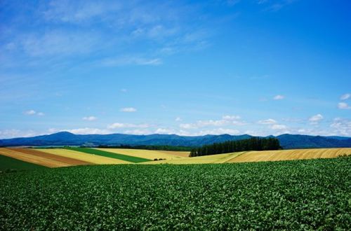 中国学生教训日本留学生原视频,日本留学生打工的建议