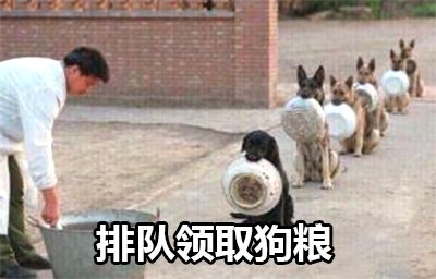 公公强吻儿媳，新娘被按跪地…你还见过哪些辣眼婚俗