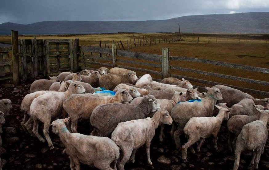 基督教殉情,基督徒殉道泪流满面