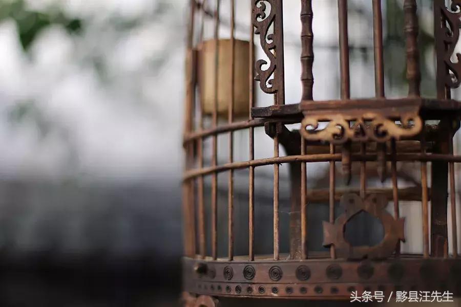 半耕草堂丨田园西递里的耕读生活