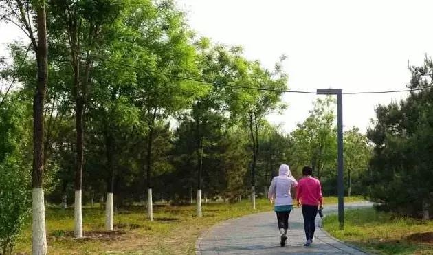 北京这38个森林公园您都去吗？先收藏了，有空咱们玩个遍！