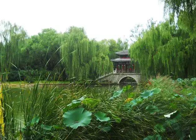 北京这38个森林公园您都去吗？先收藏了，有空咱们玩个遍！