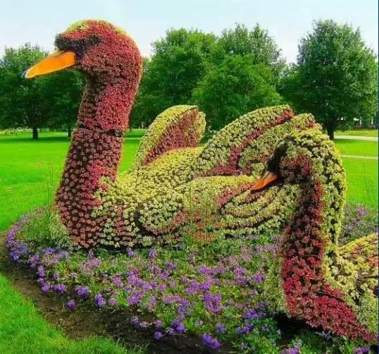 11月4，有群的都看看，太美了，这一辈子见一次值了！