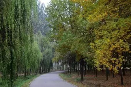 北京这38个森林公园您都去吗？先收藏了，有空咱们玩个遍！