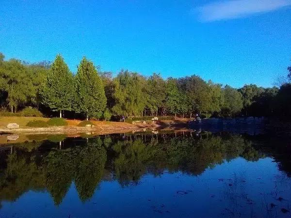 北京这38个森林公园您都去吗？先收藏了，有空咱们玩个遍！