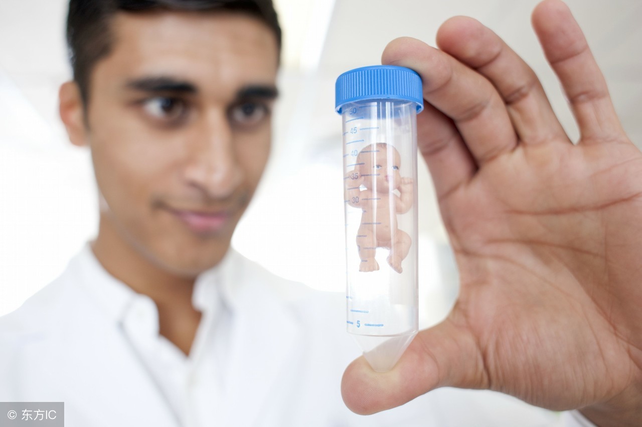 试管怀孕6周,一代试管婴儿胚胎的形成全过程