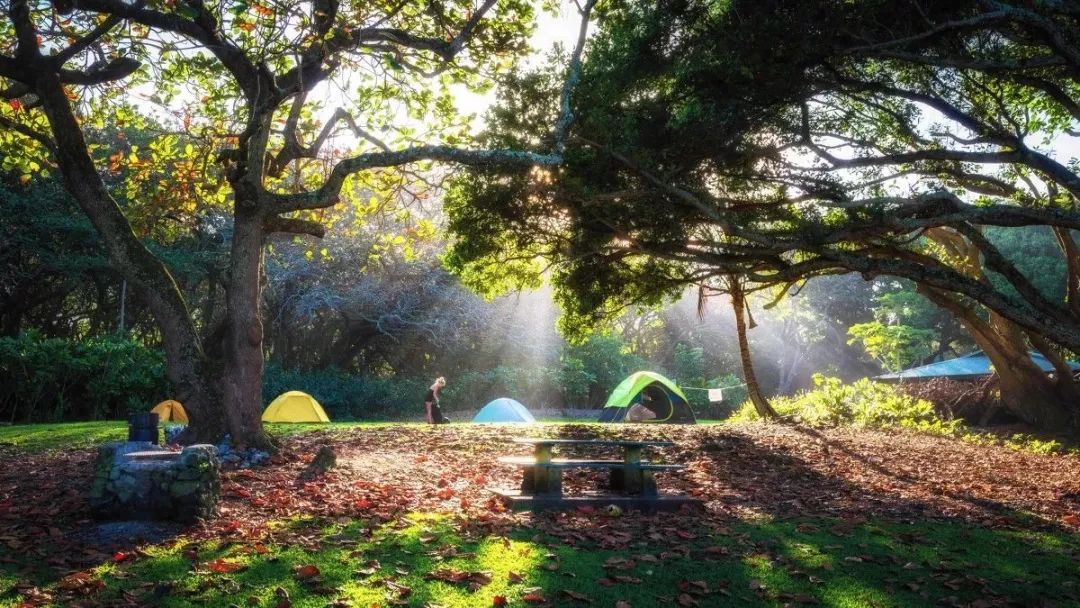 骨灰级干货史上最全海岛签证汇总 (骨灰级海岛自由行签证)