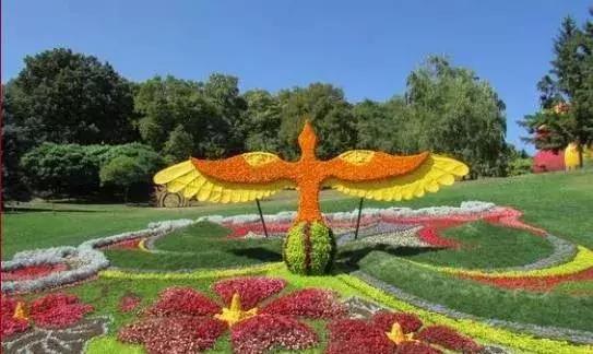 11月4，有群的都看看，太美了，这一辈子见一次值了！